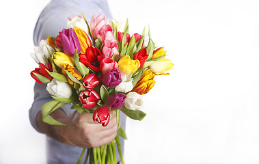 Image showing A hand full of colorful tulips