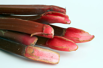 Image showing Rhubarb