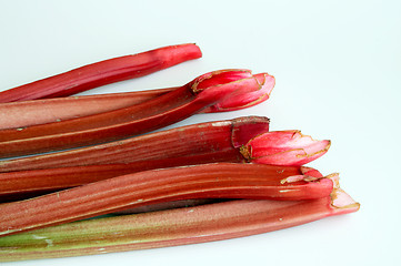 Image showing Rhubarb