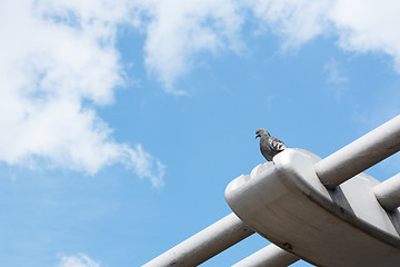 Image showing Pigeon perching on the Millennium Bridge