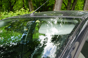 Image showing cracked car windscreen with tree leaves outdoor 