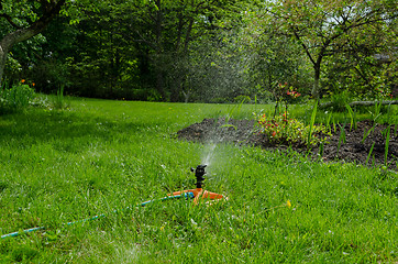 Image showing sprinkling irrigation on the grass  