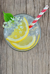 Image showing beverage elderflower