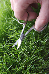 Image showing Young man cuts English lawn