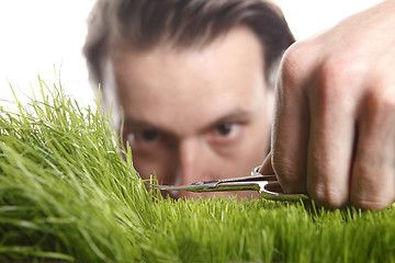 Image showing Young man cuts English lawn