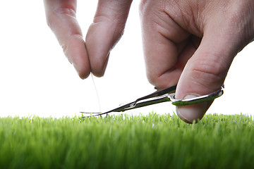 Image showing Young man cuts English lawn