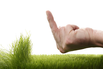 Image showing Young man is annoyed about growing grass