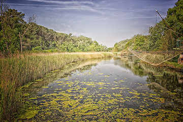 Image showing Fishing hut on the Pialassa della Baiona 