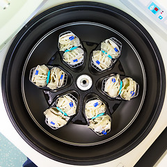 Image showing Separation of serum and blood cells in centrifuge.