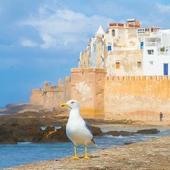 Image showing Essaouira - Magador, Marrakech, Morocco.