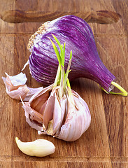 Image showing Garlic