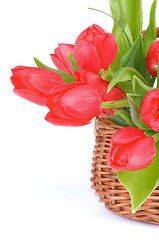 Image showing Spring Tulips