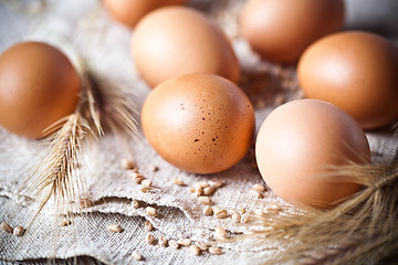 Image showing  fresh brown eggs and wheat ears 