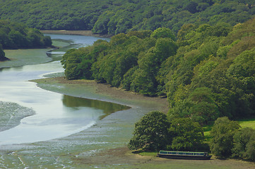 Image showing Peaceful Forest River