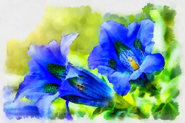 Image showing Illustration of trumpet gentiana blue spring flower in garden