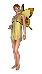 Image showing Fairy Butterfly