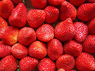 Image showing Strawberries fruits