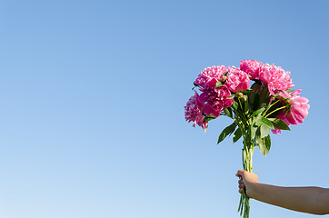 Image showing bouquet of pink peonies in woman hand on blue sky 