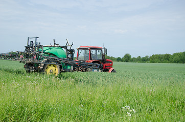 Image showing tractor fertilizing wheat field in summer day   