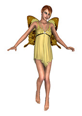 Image showing Fairy Butterfly