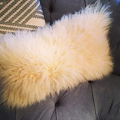 Image showing Fluffy cushion on a sofa