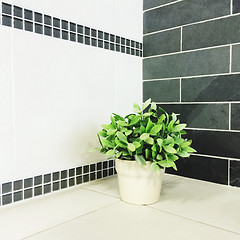 Image showing Green plant in the kitchen