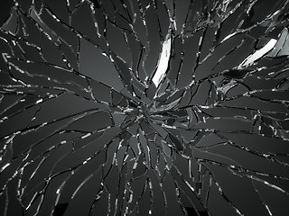 Image showing Sharp Pieces of shattered black glass