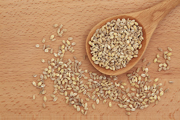 Image showing Pearl Barley