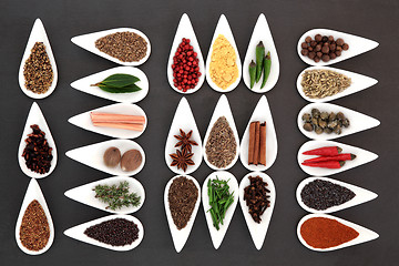 Image showing Herb and Spice Collection