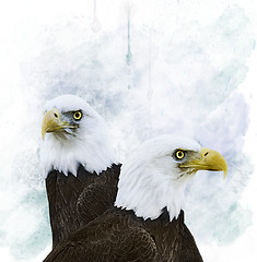 Image showing Eagles
