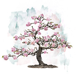 Image showing Pink Blossoming Tree