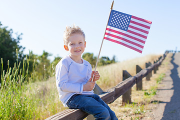 Image showing boy celebrating independence day