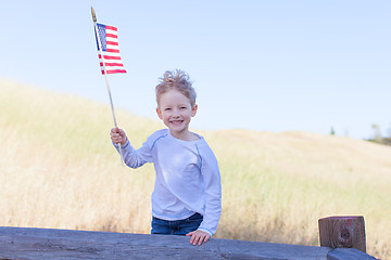 Image showing boy celebrating independence day