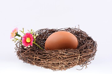 Image showing Bird's nest with an egg