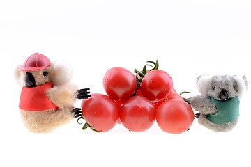 Image showing Toy koala collecting Cherry tomato