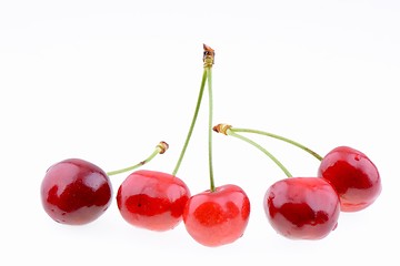 Image showing Sweet cherries isolated on a white background