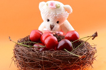 Image showing Toy teddy bear collecting Sweet cherries