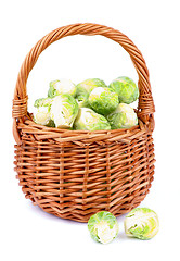 Image showing Brussels Sprouts