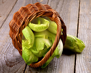 Image showing Endive Leaves