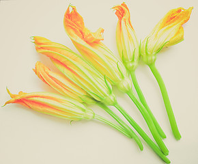 Image showing Retro look Courgette Zucchini flowers