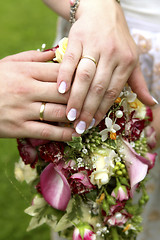 Image showing Hands of a bride and groom