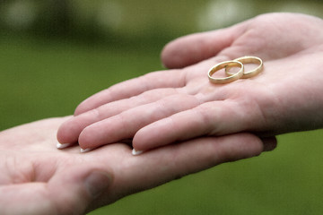 Image showing Hands of a bride and groom