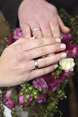 Image showing Hands of a bride and groom