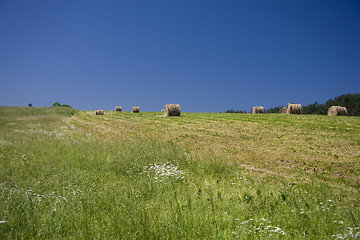 Image showing sommer landscape