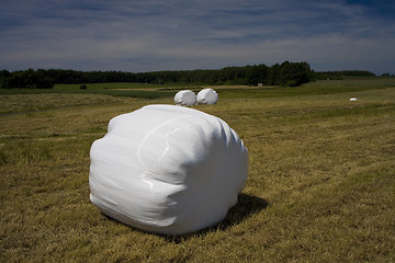 Image showing sommer landscape