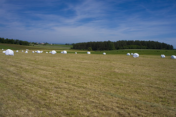 Image showing sommer landscape
