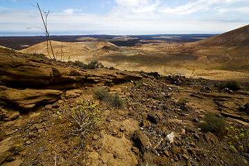 Image showing timanfaya sky  hill and summer  spain plant flower bush