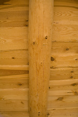 Image showing wood background