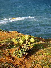 Image showing Beautiful landscape in Sri Lanka