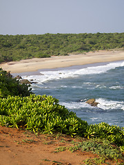 Image showing Beautiful landscape in Sri Lanka